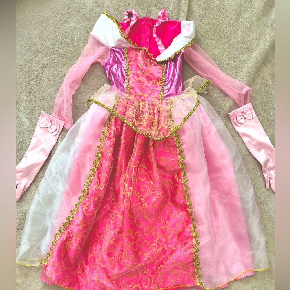 Princess Aurora dress costume